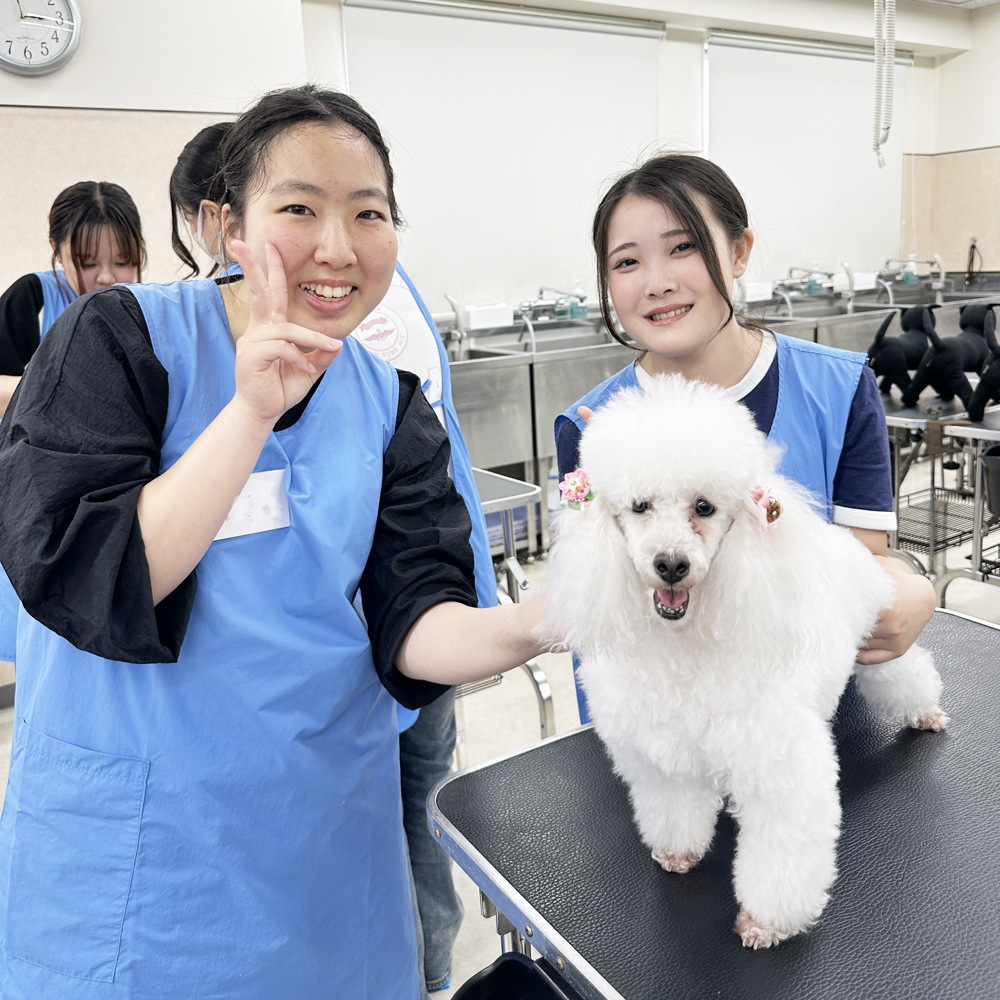高校３年生対象！入学前のプレ授業♪